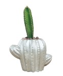 Mini Çiçek Saksı Küçük Sukulent Gümüş Kaktüs Saksısı Kaktüs Figür Model